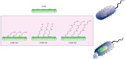 Cellulose-Based Nanofibril Composite Materials as a New Approach to Fight Bacterial Infections